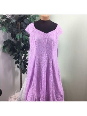 Suite 7 Fit and flare dress purple 14W Lace purple iris is the color